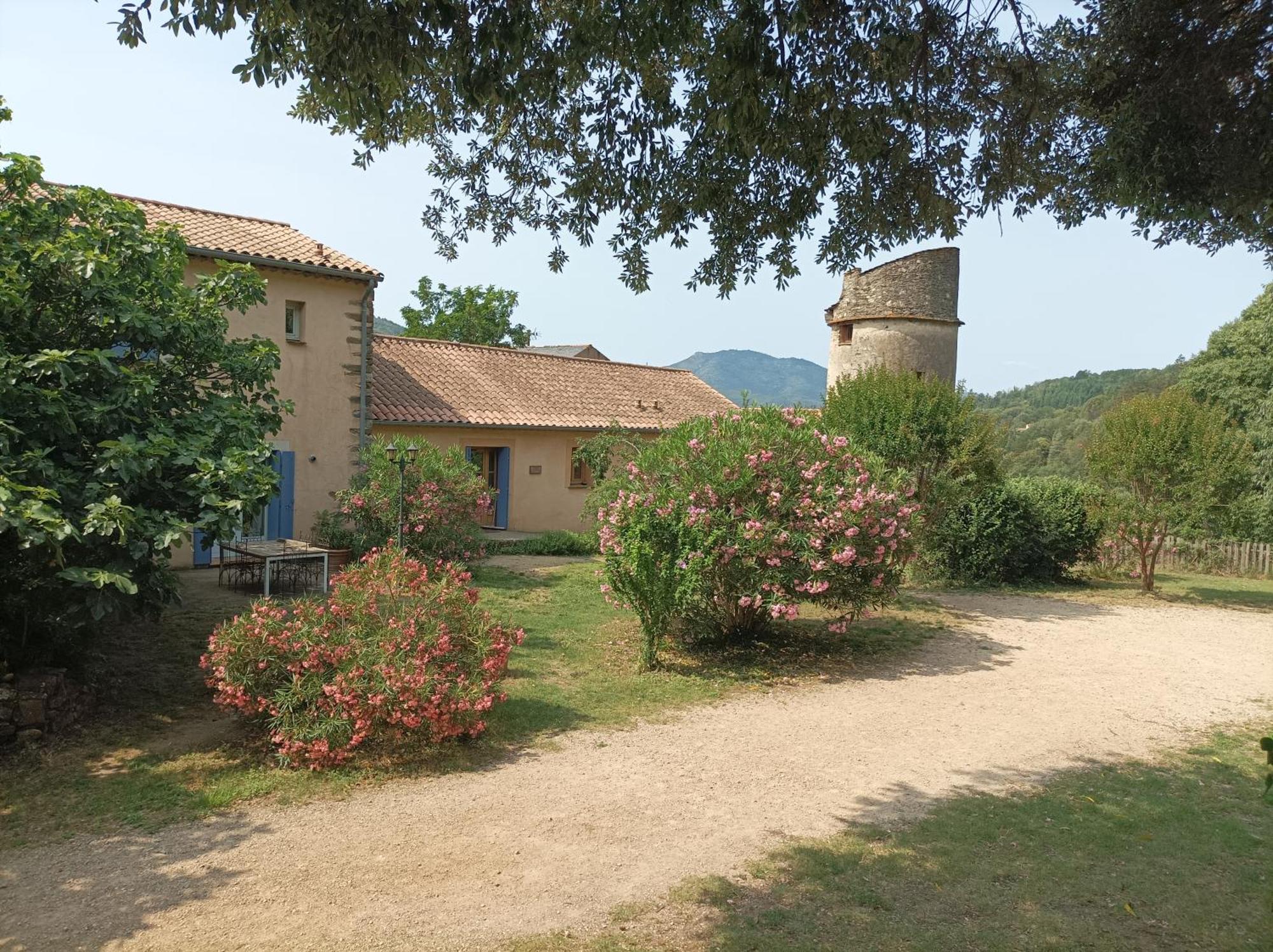 Chateau De Colombieres Sur Orb Ngoại thất bức ảnh